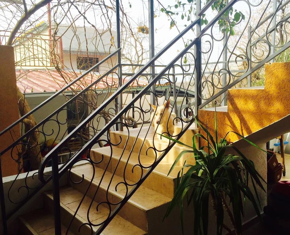 Apartmani Peric Bar Exteriör bild